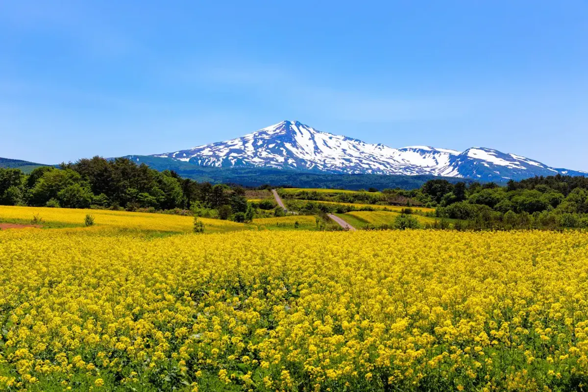 由利本荘の風景
