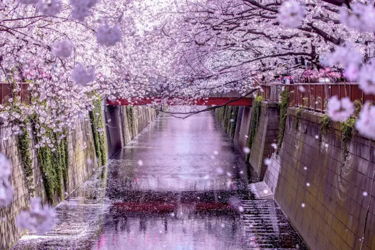 目黒・中目黒の風景