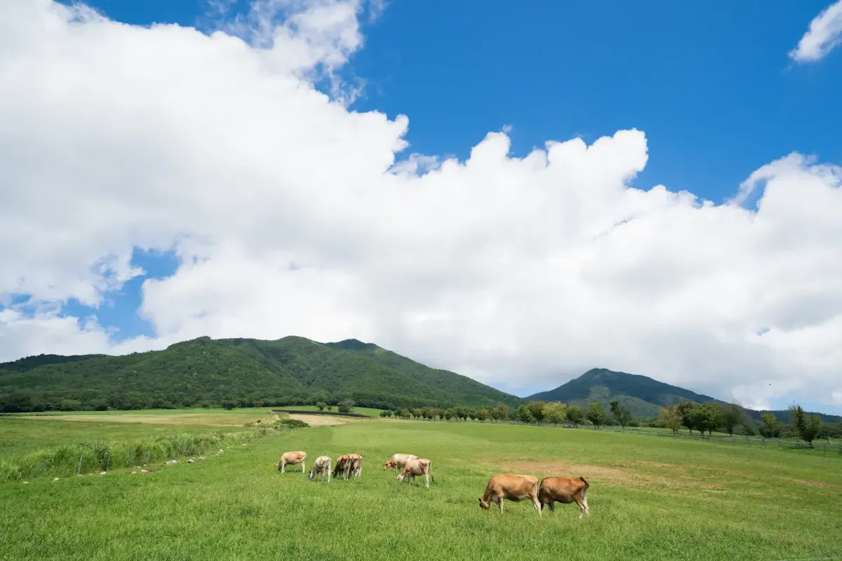 蒜山・湯原温泉の風景