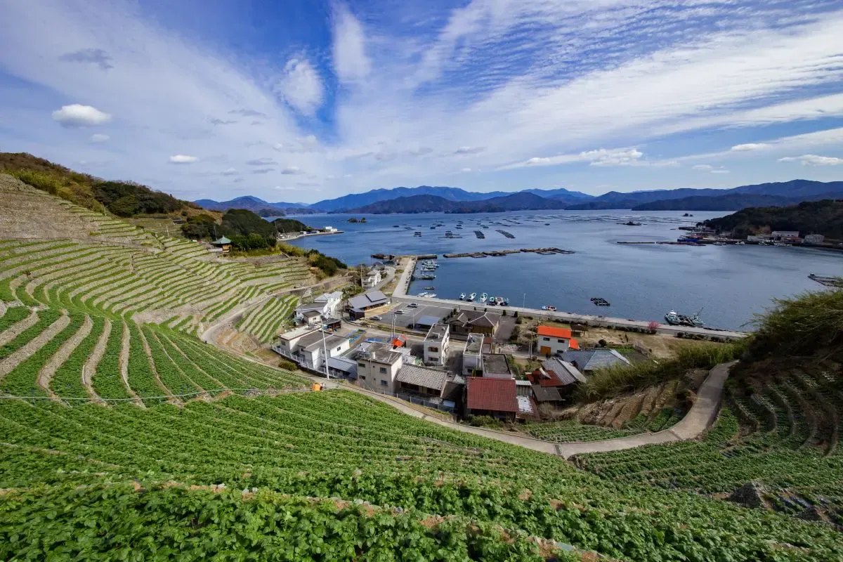 宇和島・大洲の風景