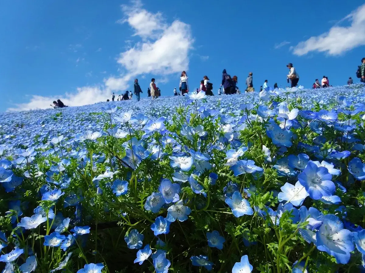日立・高萩・奥久慈の風景