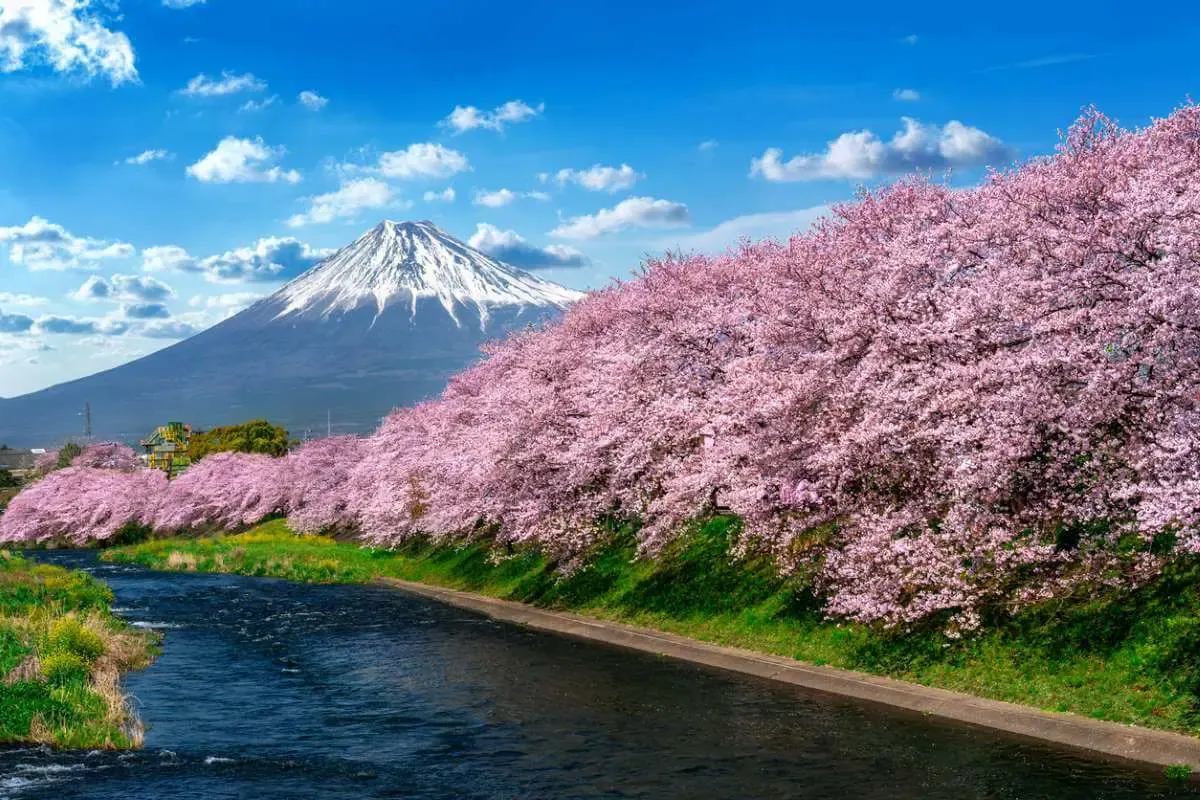 御殿場・富士・富士宮の風景