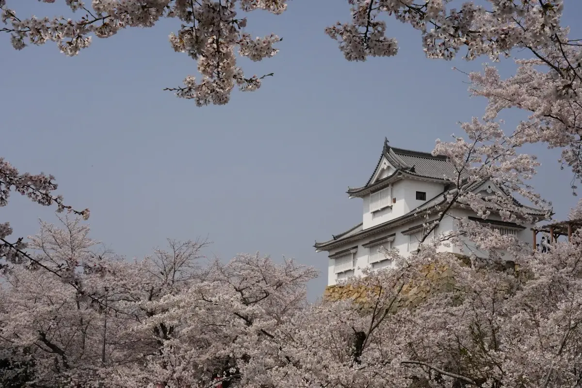 津山・美作の風景