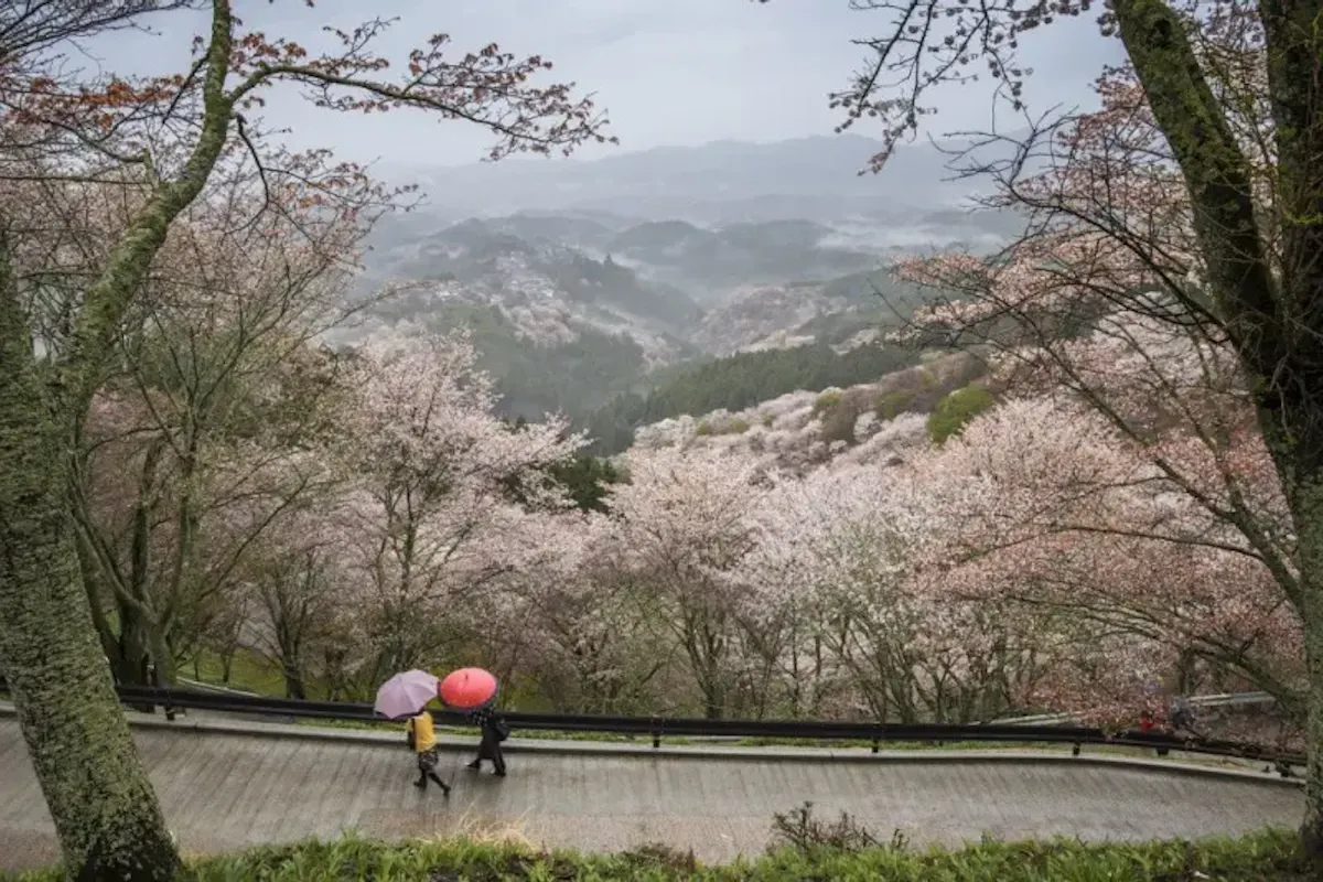 吉野・天川村・十津川の風景