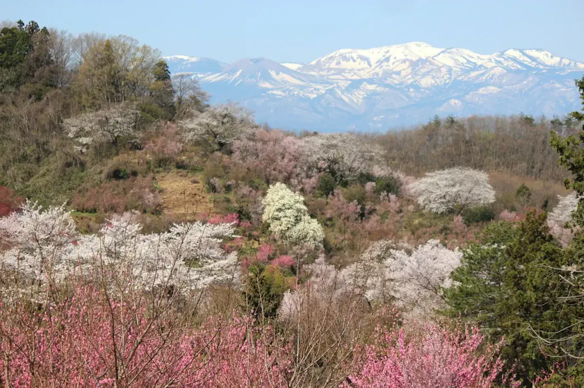 福島市周辺の風景