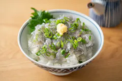 生しらす丼