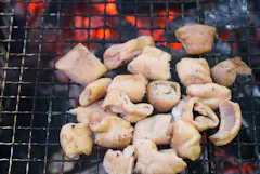 厚木シロコロホルモン