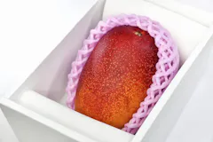 太陽のタマゴ