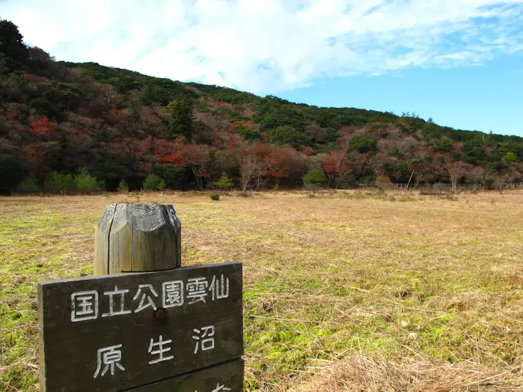 原生沼