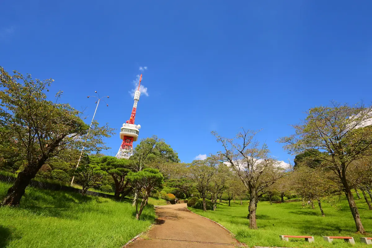 八幡山公園