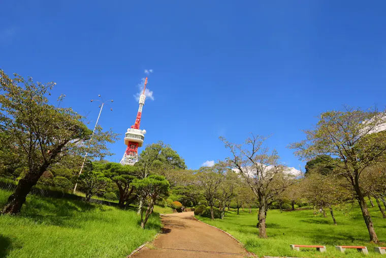 八幡山公園