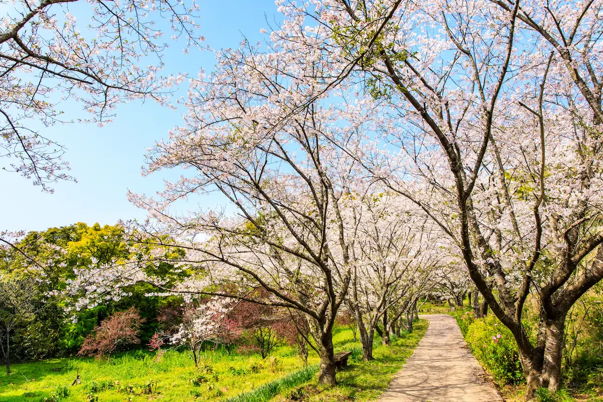 花の森公園