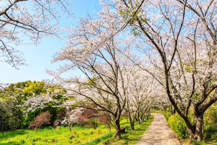 花の森公園