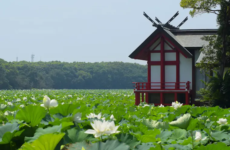 湖水ヶ池公園