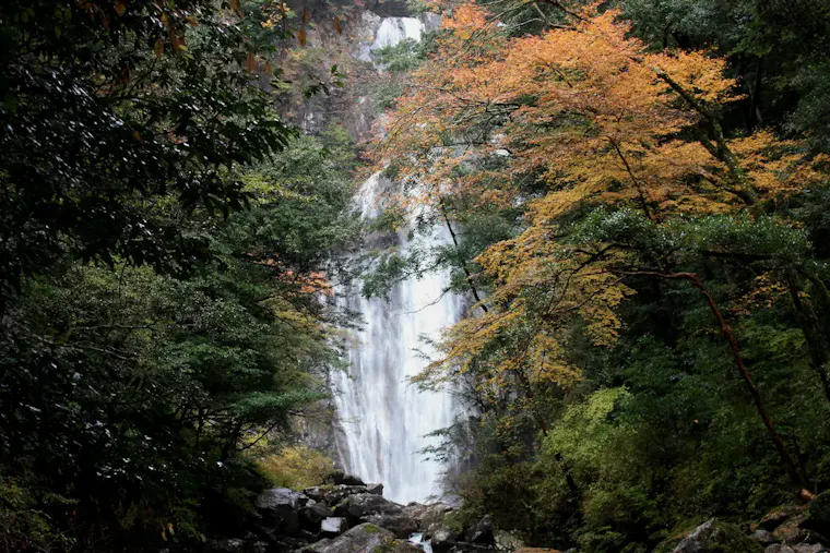 矢研の滝