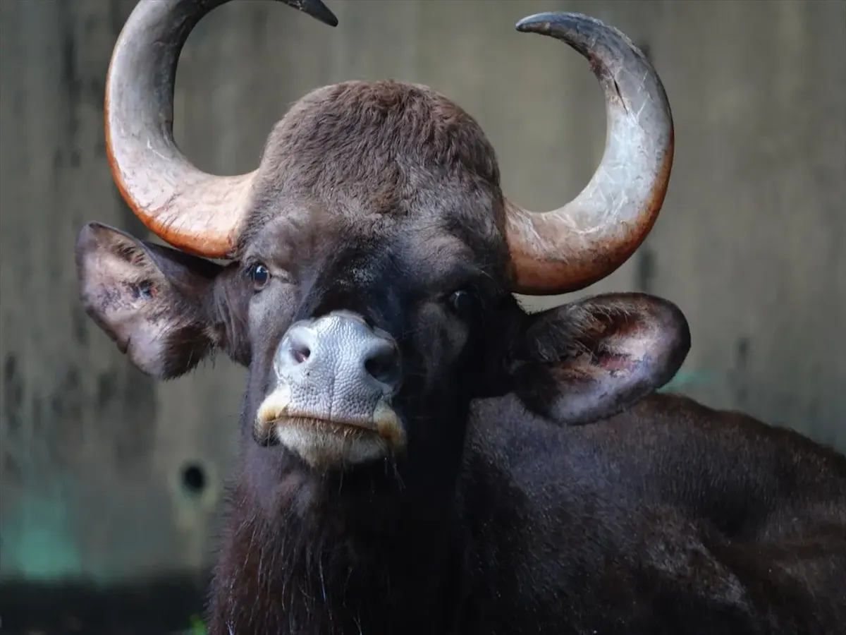 金沢動物園（写真 3）