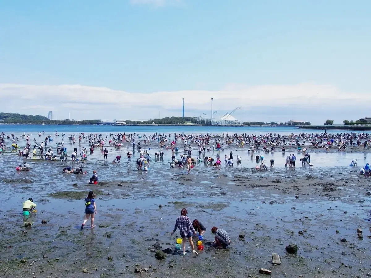 海の公園