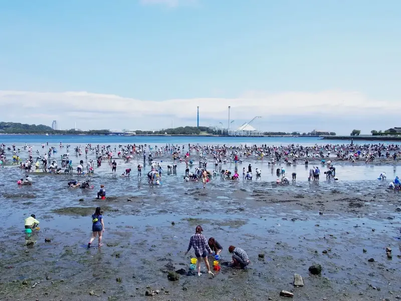 海の公園