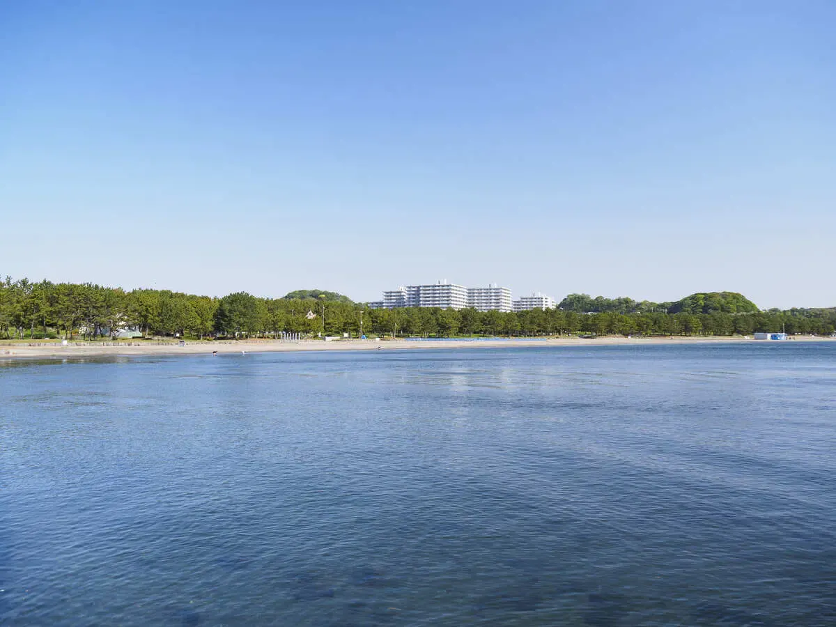 海の公園（写真 6）
