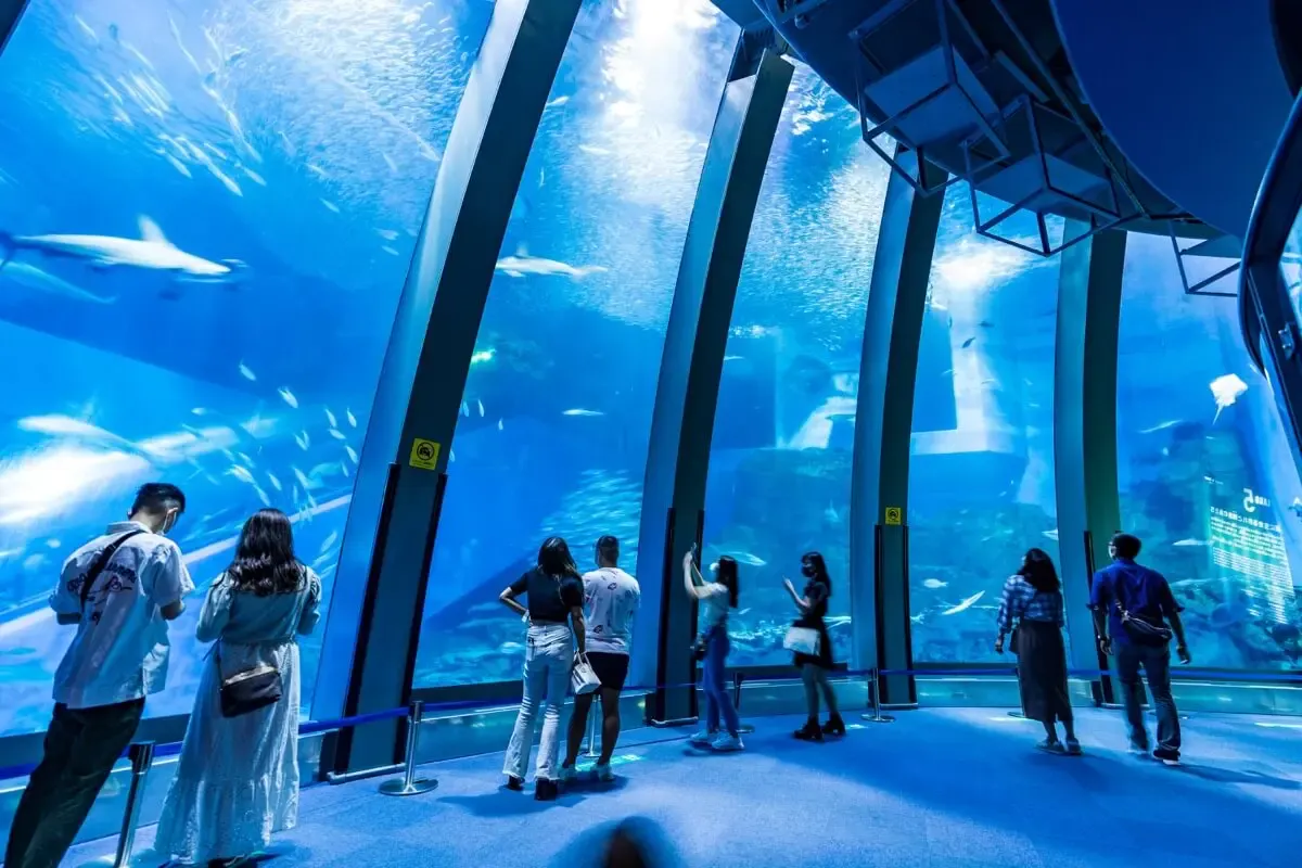 横浜八景島シーパラダイス（写真 2）