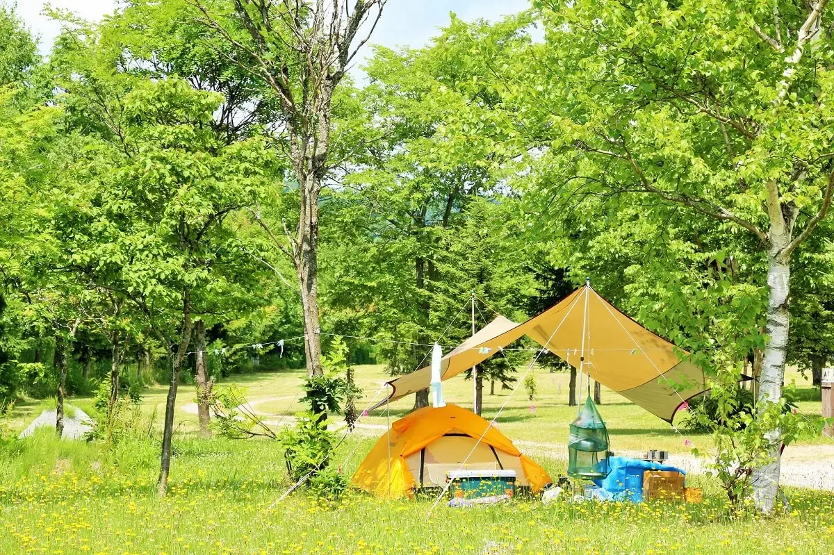笹ヶ峰牧場(写真 3)
