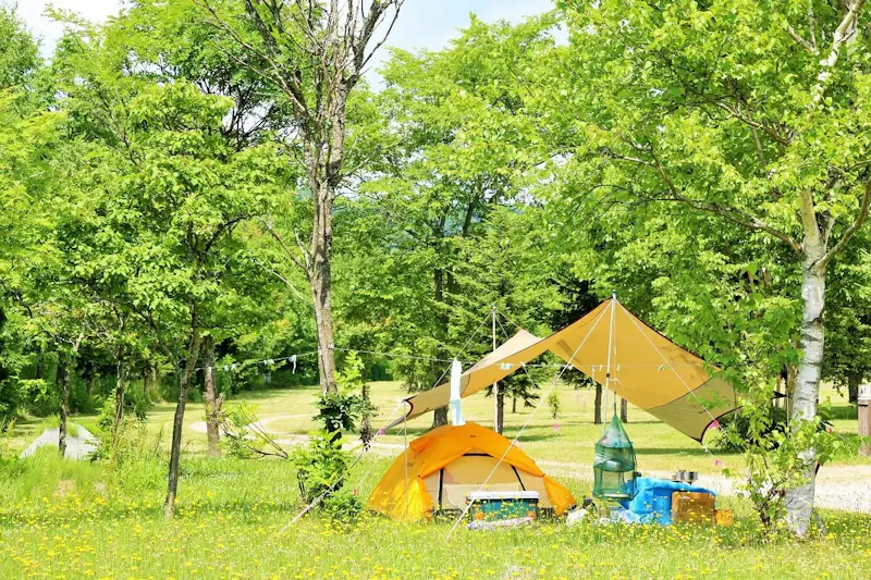 笹ヶ峰牧場