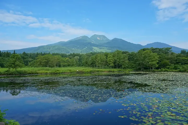 インスタ映えするいもり池