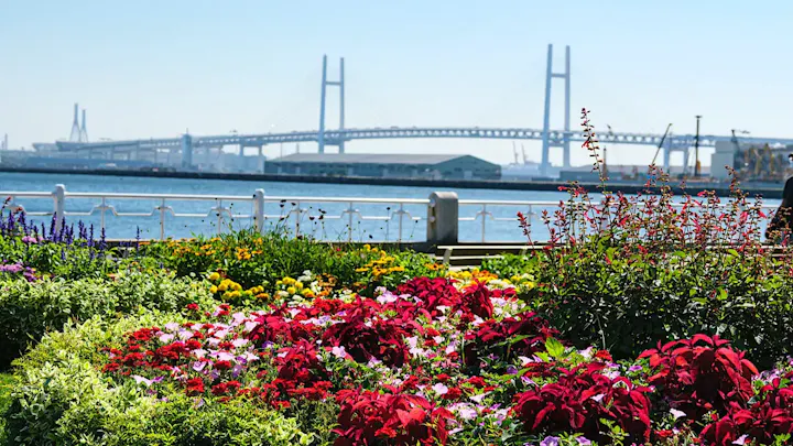 海と港の美しい景色を堪能できる
