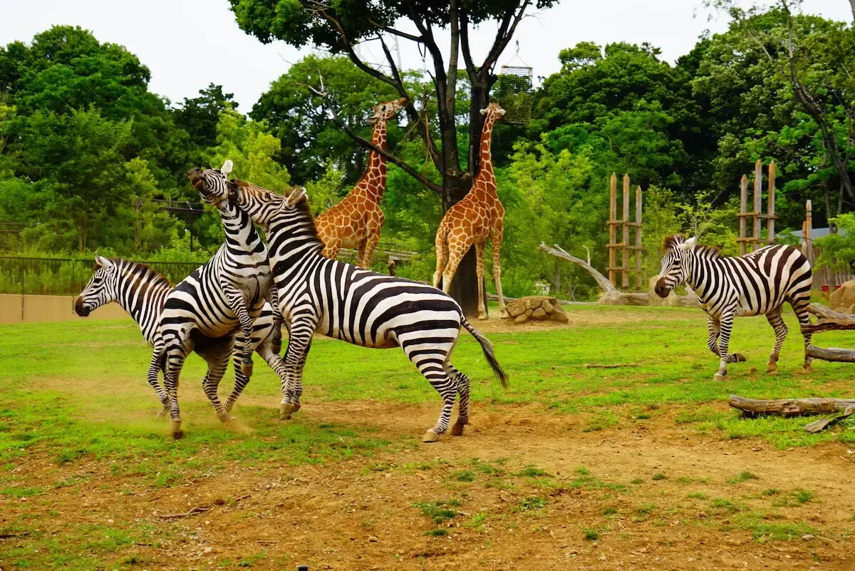 神奈川県