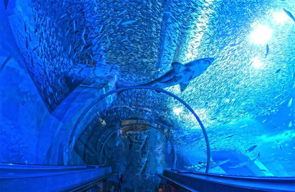 横浜八景島シーパラダイス（写真 4）