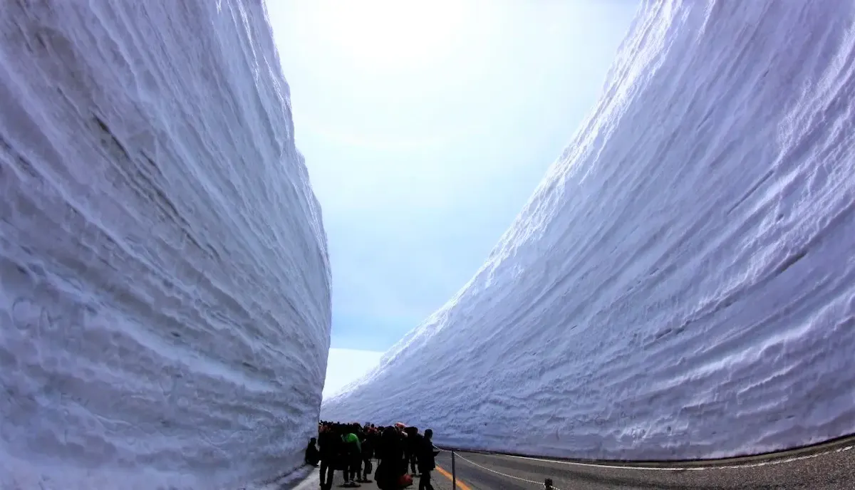 雪の大谷(写真 3)