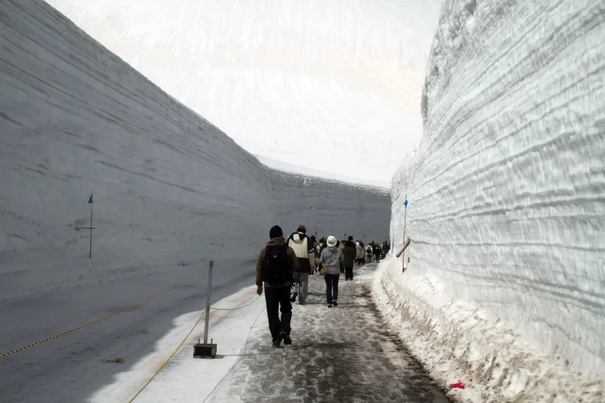 雪の大谷(写真 2)