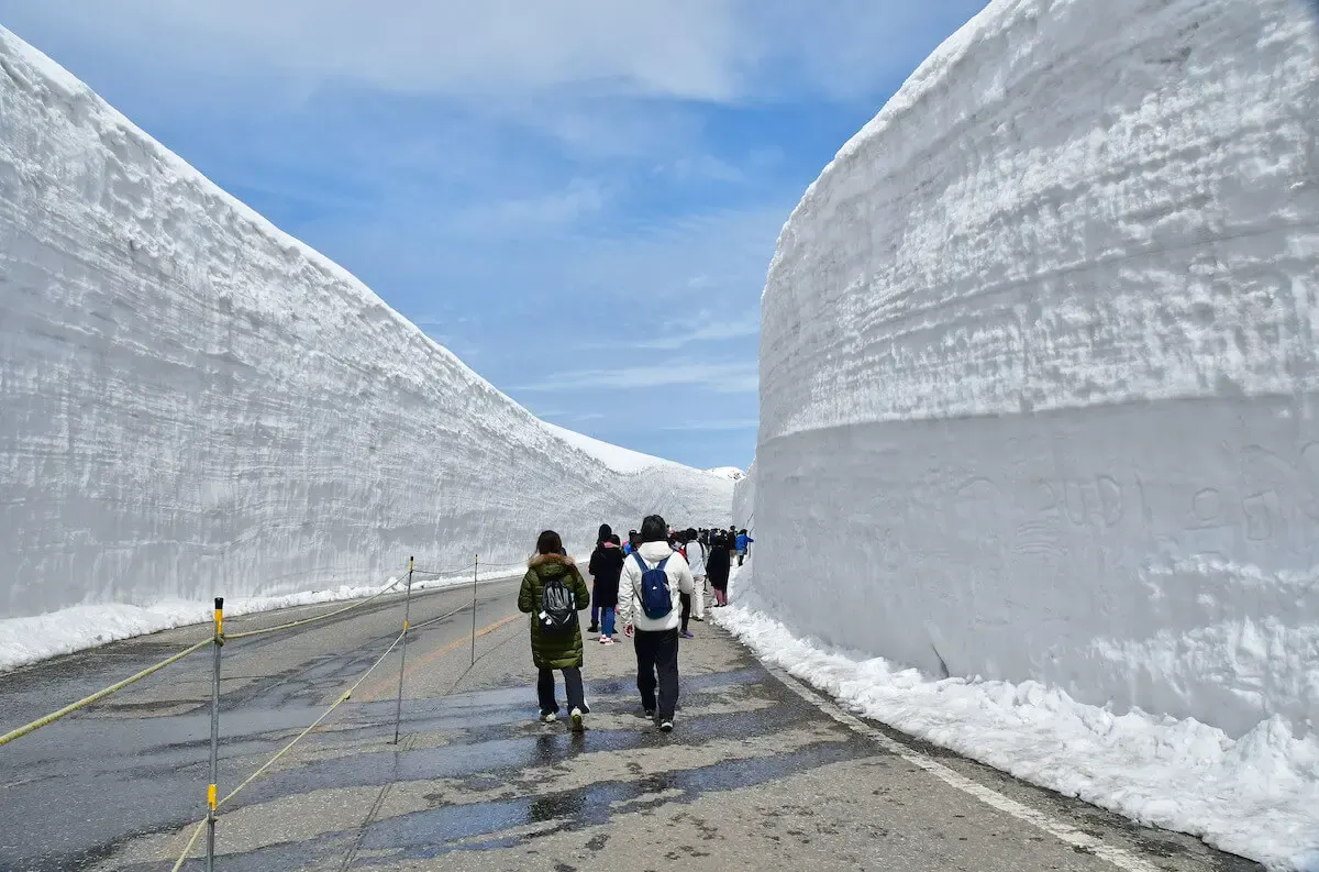 雪の大谷(写真 6)
