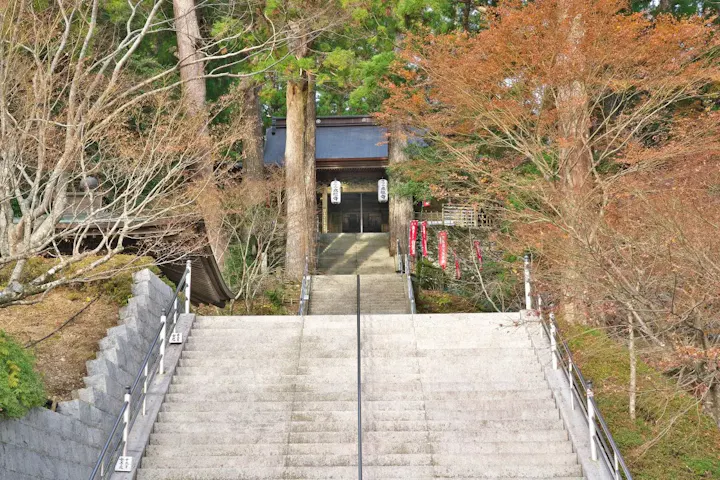 お正月は初詣に行こう
