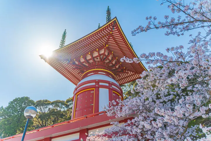 鮮やかな瑜祇塔を見学