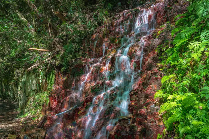 自然豊かな周辺の散策やハイキングを楽しもう
