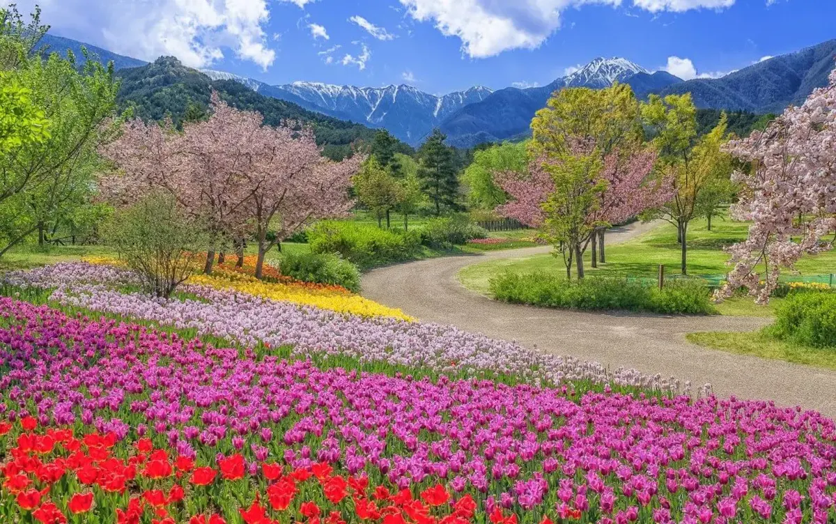 国営アルプスあづみの公園 堀金・穂高地区（写真 3）