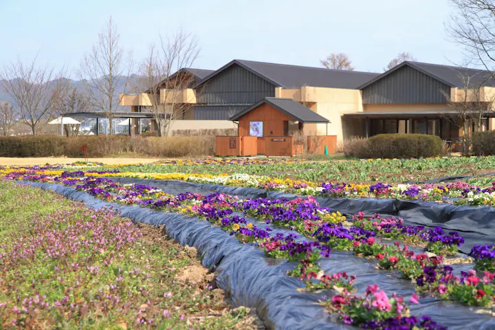 自然と文化が調和した地で芸術を楽しむ