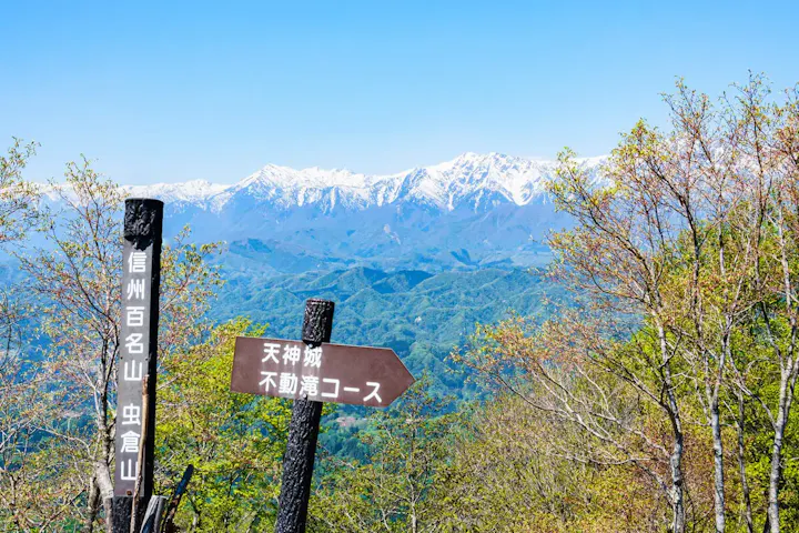 近くの低山で軽くハイキングしよう