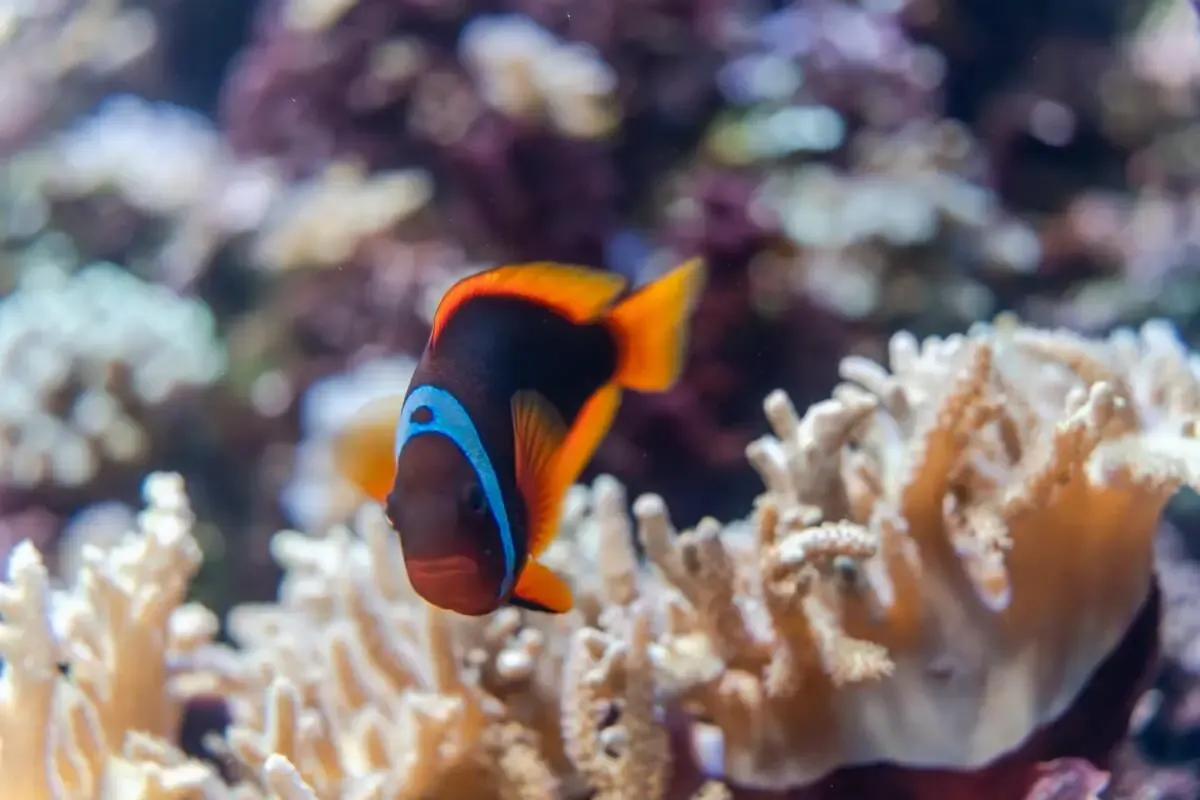 新潟市水族館 マリンピア日本海(写真 2)