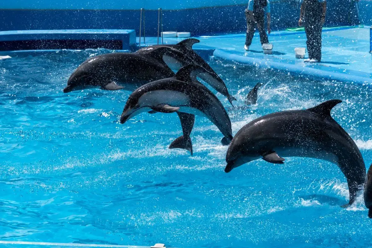 新潟市水族館 マリンピア日本海(写真 3)