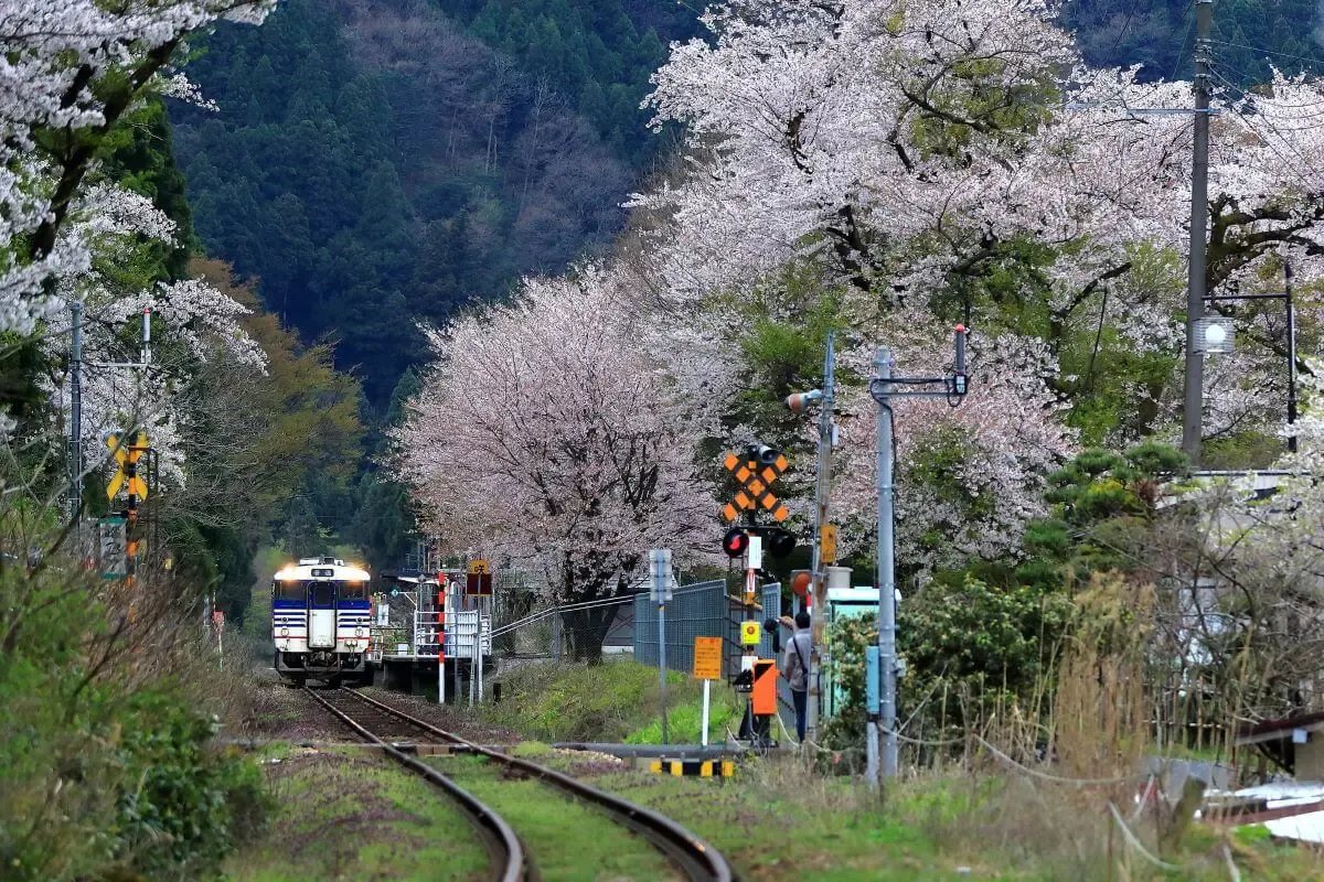 咲花温泉(写真 2)