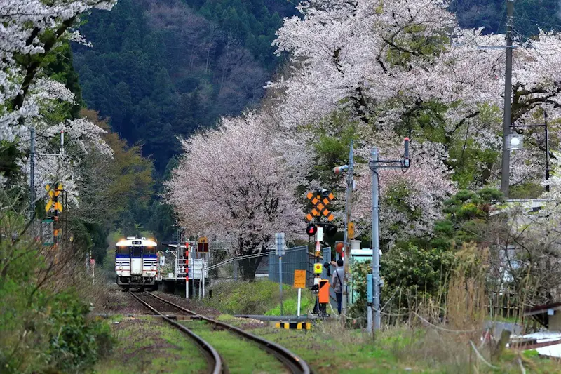 咲花温泉