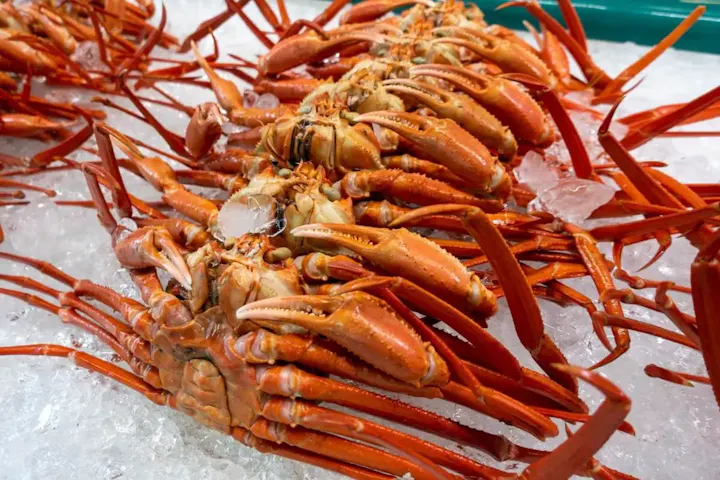 新潟港に面した観光市場！新鮮な魚介類！
