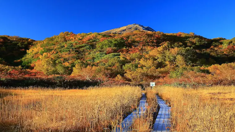 竜ケ原湿原