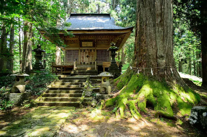 美しい自然と歴史ある建築物が特徴の神社！