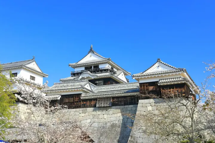 石垣マニアにはたまらない石垣