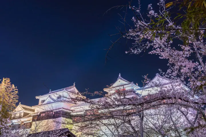 実は日本夜景遺産に認定されている