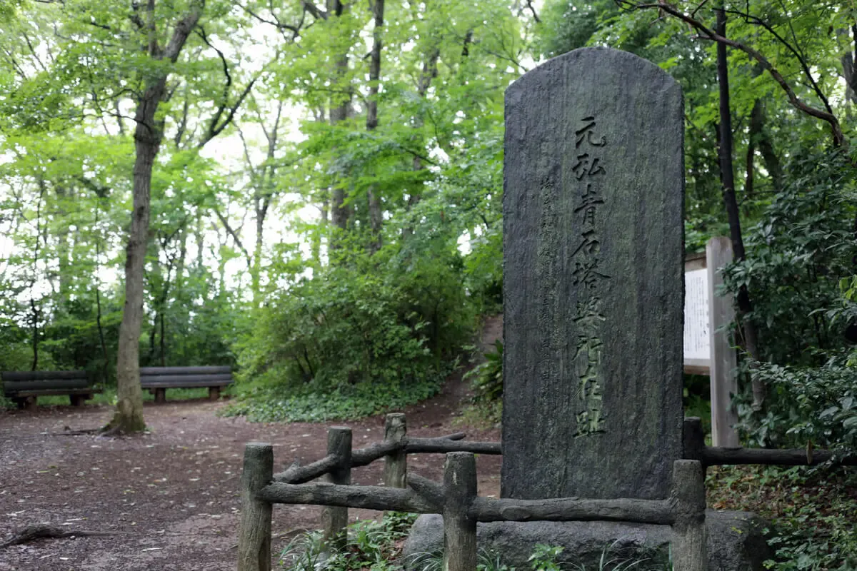 都立八国山緑地(写真 2)