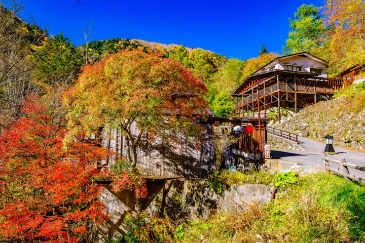 自然の絶景を堪能する旅